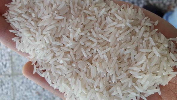 برنج علی کاظمی چه نوع برنجی است؟