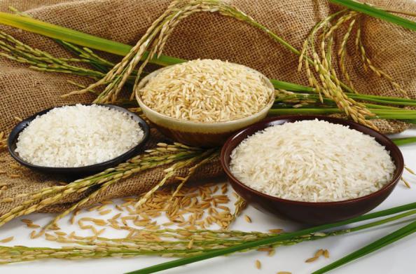 اطلاعاتی درباره کیفیت برنج طارم نیم دانه