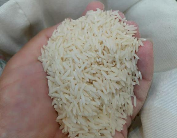 صادرات عمده برنج طارم ممتاز