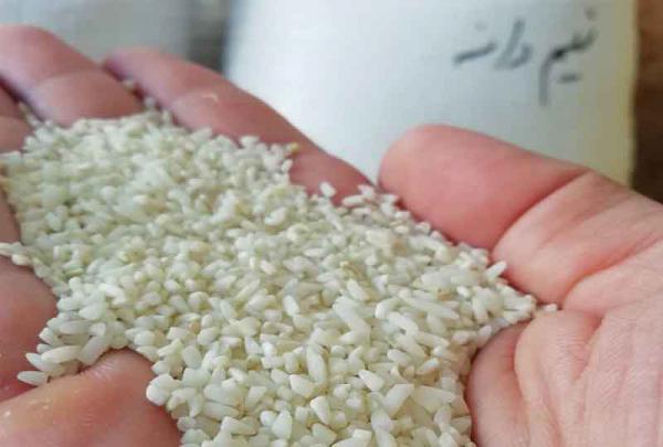 صادرکنندگان برنج طارم نیم دانه ارزان