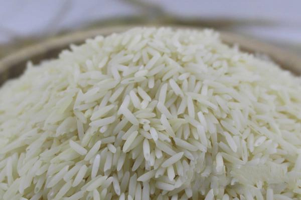قیمت برنج هاشمی اصل عمده