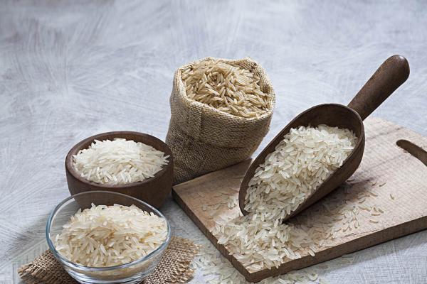 تولیدکنندگان برنج کشت اول