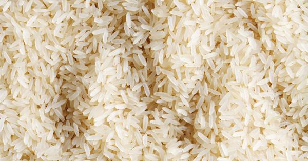 صادرکنندگان برنج کشت دوم هاشمی
