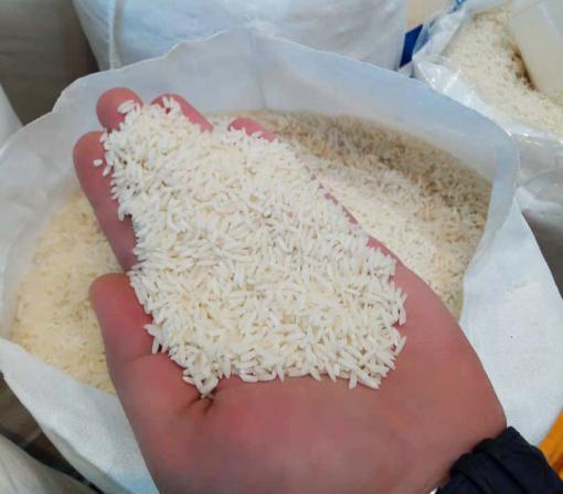 تولیدکنندگان برنج هاشمی استخوانی ارزان