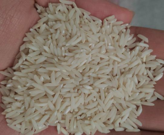 خواص دارویی انواع برنج کشت اول