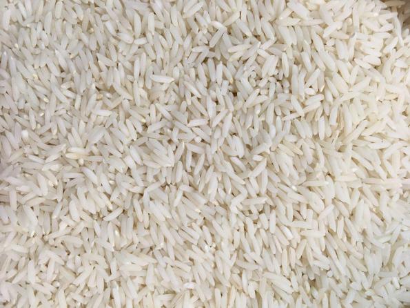 صادرکنندگان برنج هاشمی کشت دوم عمده