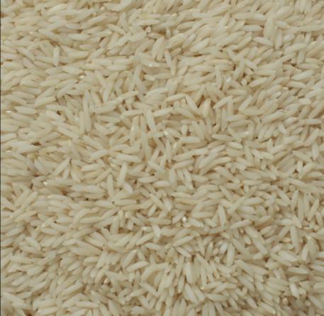 صادرات عمده برنج کشت اول
