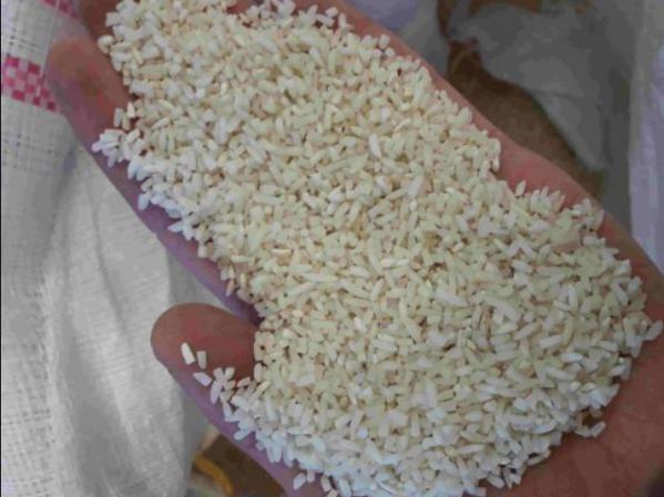 بررسی کیفی برنج هاشمی نیم دانه